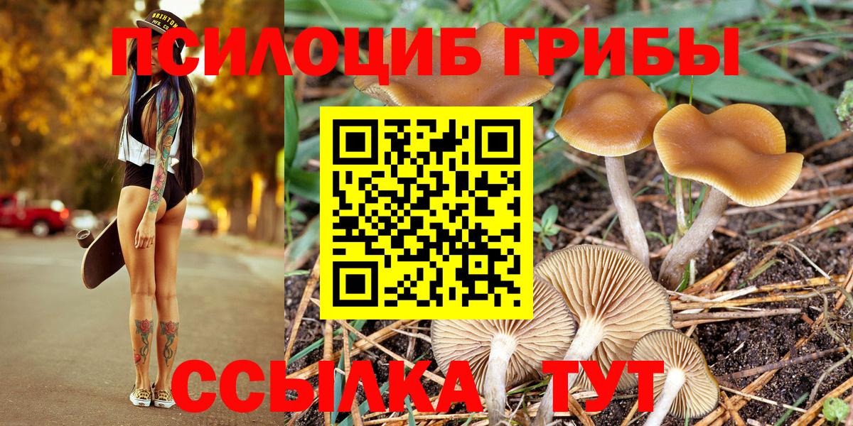 Псилоцибиновые грибы Magic Shrooms Мегион